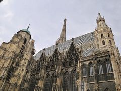 -斯蒂芬主教座堂(Stephansdom)