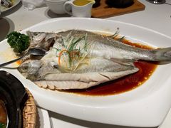 清蒸鲈鱼-觅唐MITONG(鸟巢店)