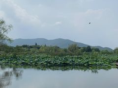 -长兴太湖图影湿地文化园