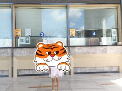 -三亚红色娘子军演艺公园景区