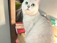 -大禹家·海鲜面馆(新闸路店)