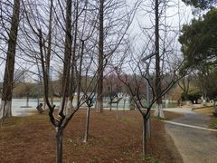 -食膳公园包子铺(烈士公园店)