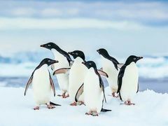 -丁香湖丁香小镇Citypark滑雪公园戏雪嘉年华