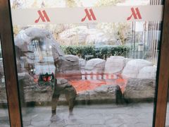 -北京乐多港万豪酒店汤乐宫温泉