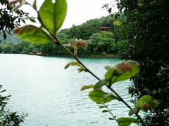 -石燕湖生态旅游景区