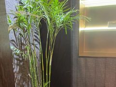 -曼格纳·曼芯馆(杨浦店)