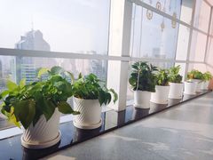 -深圳佑诺口腔门诊部