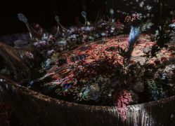 -天邑国际酒店·宴会厅