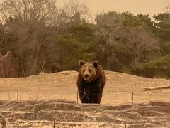 -沈阳森林动物园