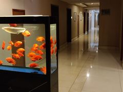 -上海中兴和泰酒店(张江高科地铁站店)