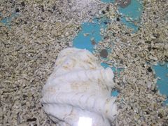 -重庆欢乐海底世界