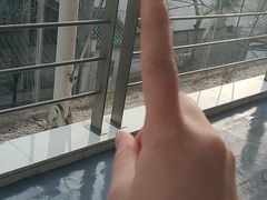 -苏州图书馆(人民路总馆)