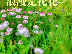 -百里天路
