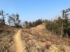 -素山寺森林公园