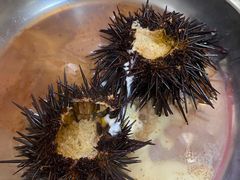 海胆-船奇蒸汽海鲜·闽菜(八市海鲜总店)