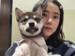-逗柴咖啡屋·狗咖猫咖宠物桌游