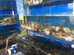 -蚝专家(北滘店)