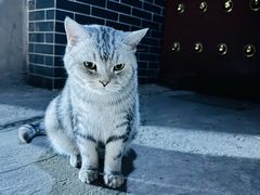 -马乐烤肉(回民街店)