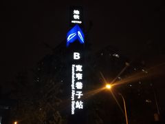 -宽窄巷子(地铁站)