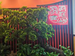 -洞庭家宴·头牌甲鱼(广渠门店)