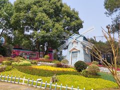 -铁山坪森林公园