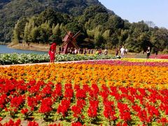 -广州市石门国家森林公园