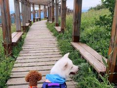 -白草畔自然风景区