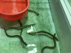 -新农都水产市场