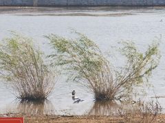-潇河湿地公园