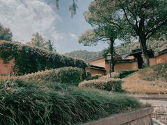 -阿育王寺