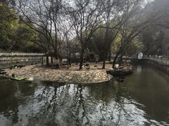 -黔灵山公园-南门售票处