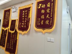-美联众合爱康动物医院•复杂内科•肿瘤科•牙科•腔镜诊疗中心