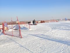 -呼兰河口湿地公园