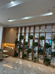 -碧莲盛·不剃发植发