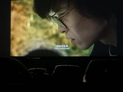 -枫花园汽车电影院(朝阳公园店)