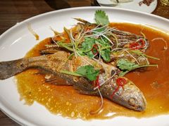 家焖杂拌鱼-将相和·海鲜蒸饺大连菜