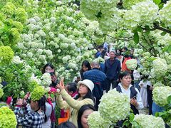 -铁山坪森林公园