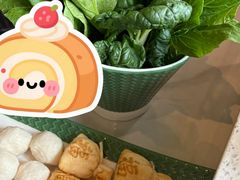 -润园四季椰子鸡火锅(海上世界店)
