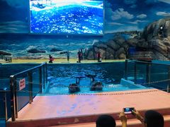 -福州罗源湾海洋世界旅游区