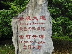 -金钉子远古世界景区
