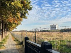 -上海长兴岛郊野公园