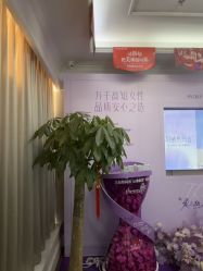 -美莱医疗美容医院