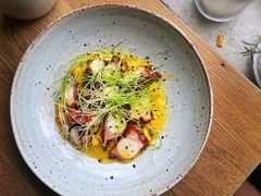 章鱼足配烤玉米-BOR Eatery(安福路店)