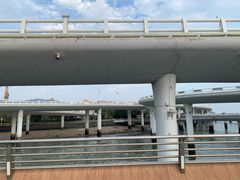 -演武大桥观景平台