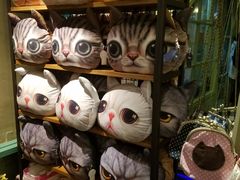 -猫咪博物馆(顶澳仔猫街店)