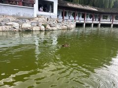 -团结湖公园