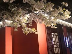 -解家河南菜(金水路店)