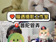 -猫遇摄影工作室
