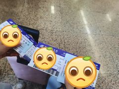 -绵阳南郊机场