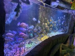 -多彩贵州城极地海洋世界